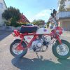 GZ-50A Monkey 50cc mit hydraulischer Gabel