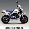 Skyteam Baja125cc, Vergaser