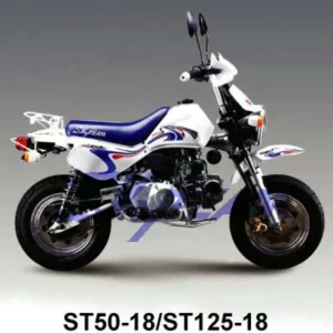 Skyteam Baja125cc, Vergaser